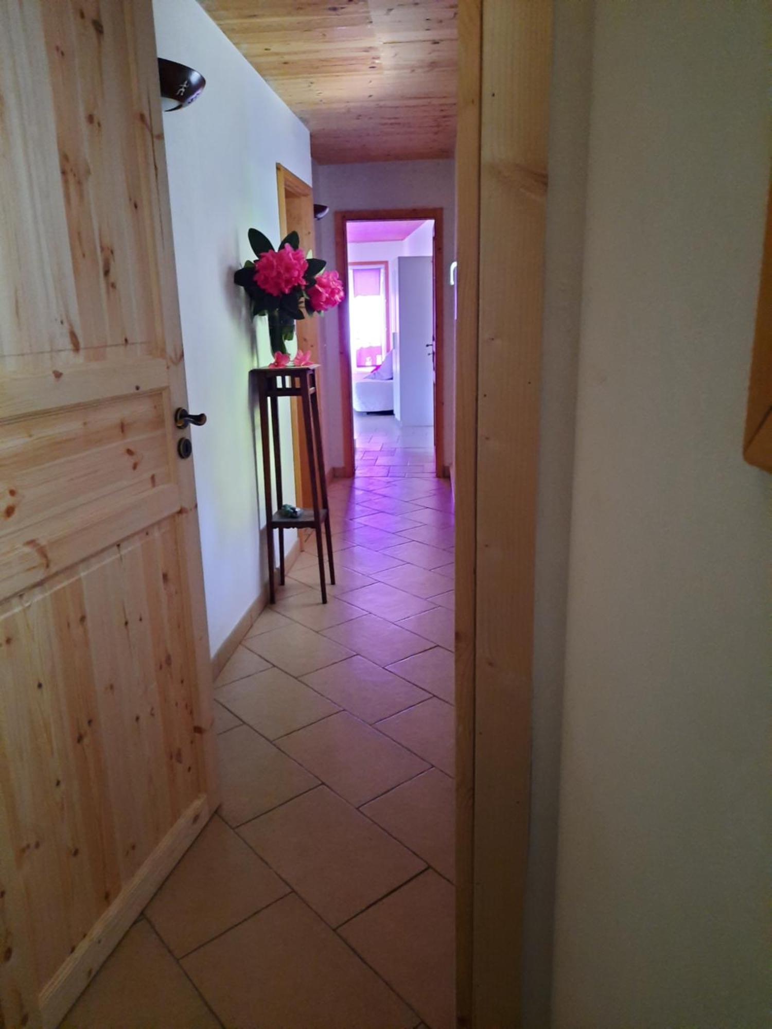 La Nave B&B Monteggio Extérieur photo