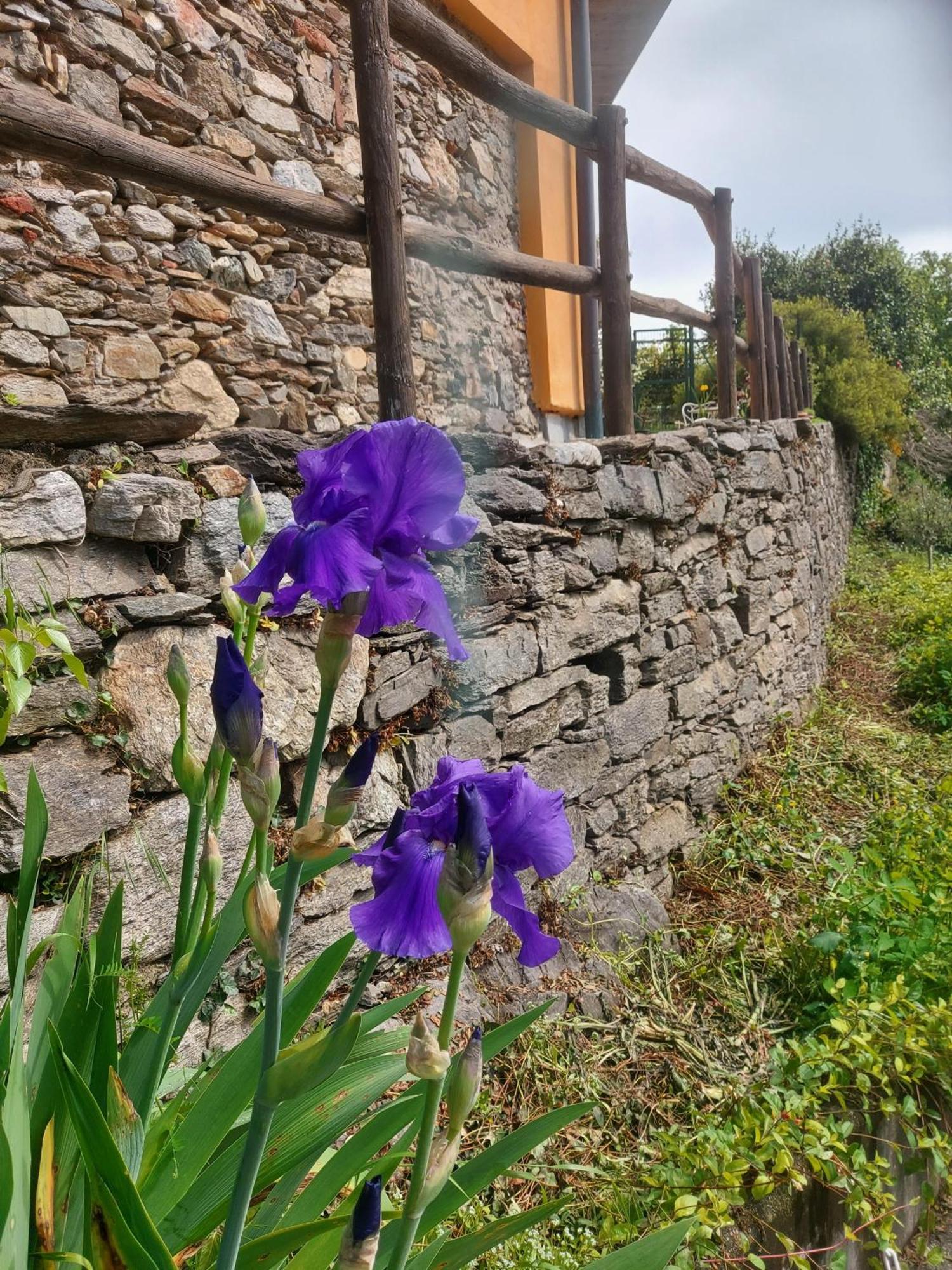 La Nave B&B Monteggio Extérieur photo